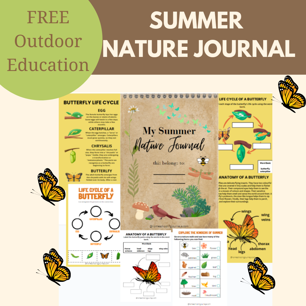 Image linking to the FREEBIE printable-Summer Nature Journal.