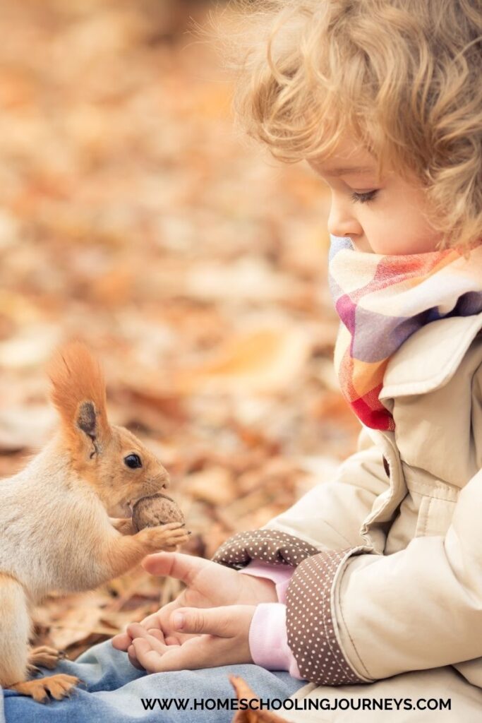 An image of a child watching a squirrel eat a nut.